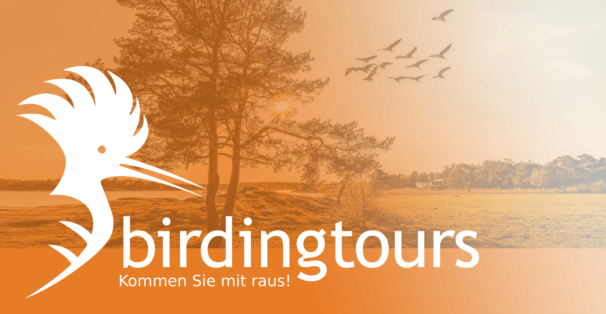 reisen-mit-birdingtours-logo