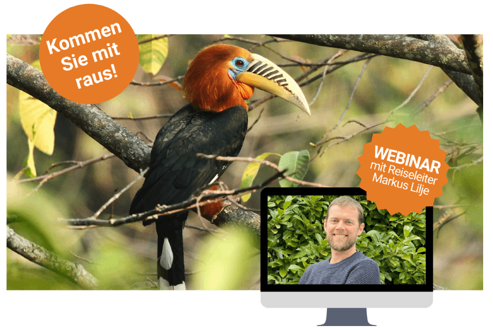 SEO-freundliche Beschreibung des Vogelbeobachtung-Webinars in Bhutan