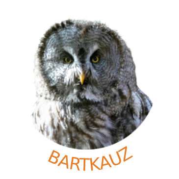 Livecam Bartkauz