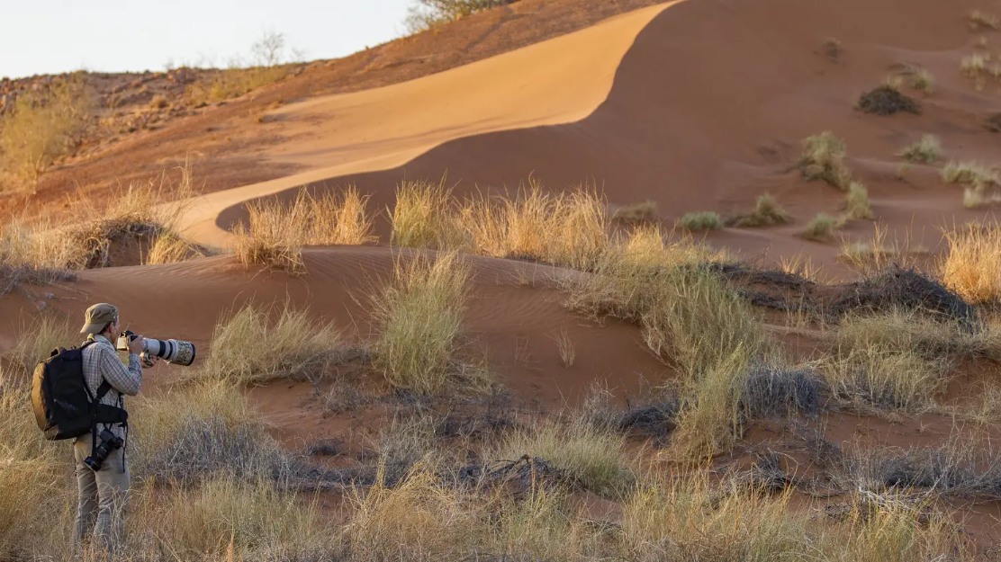 Fotografieren in der Namib-Wüste