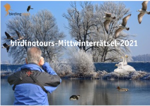 Birdingtours Winterquiz - Ein weiteres Vogelquiz.