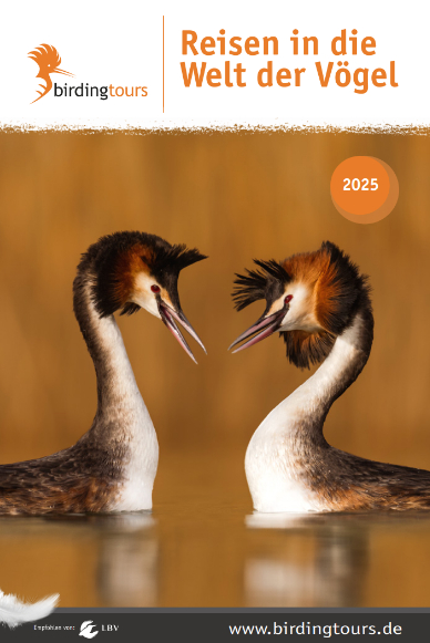 birdingtours Reisekatalog 2025 Coverbild